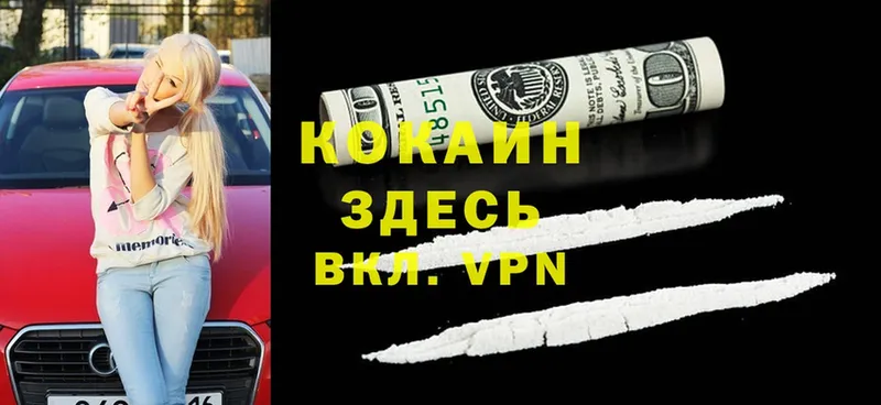 kraken зеркало  магазин    Болотное  Cocaine Эквадор 